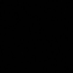 Meet your Posher, Angy